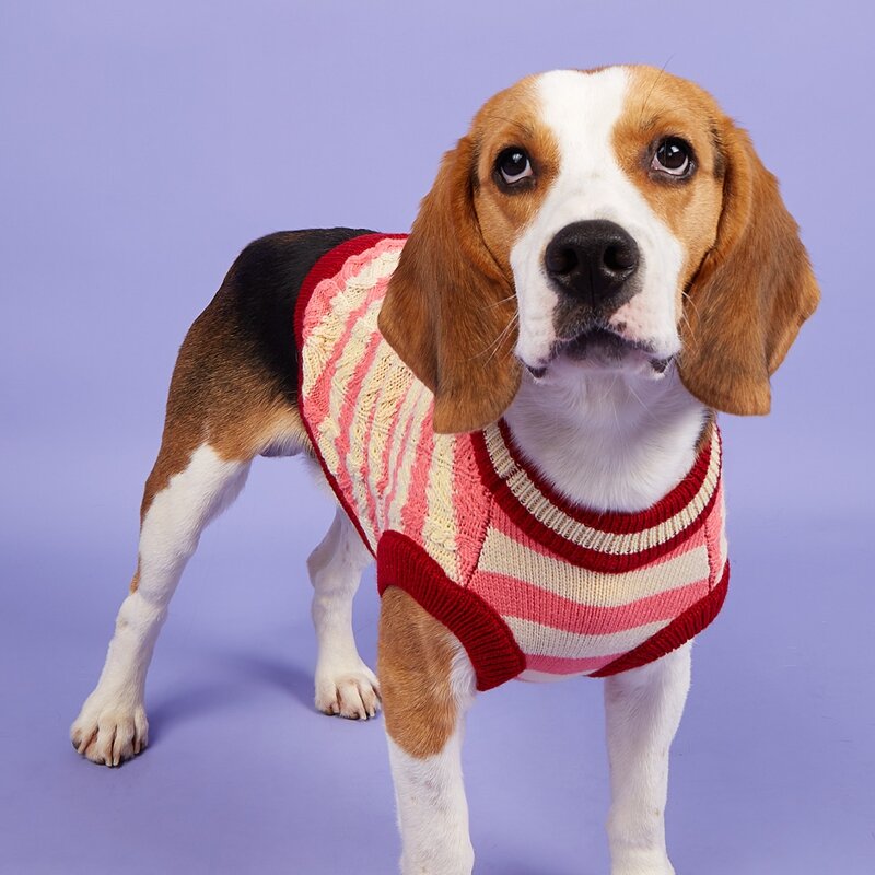 

Striped Pattern Pet Sweater, Red