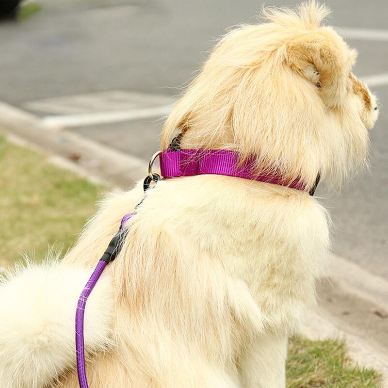 

Solid Color Pet Collar, Purple