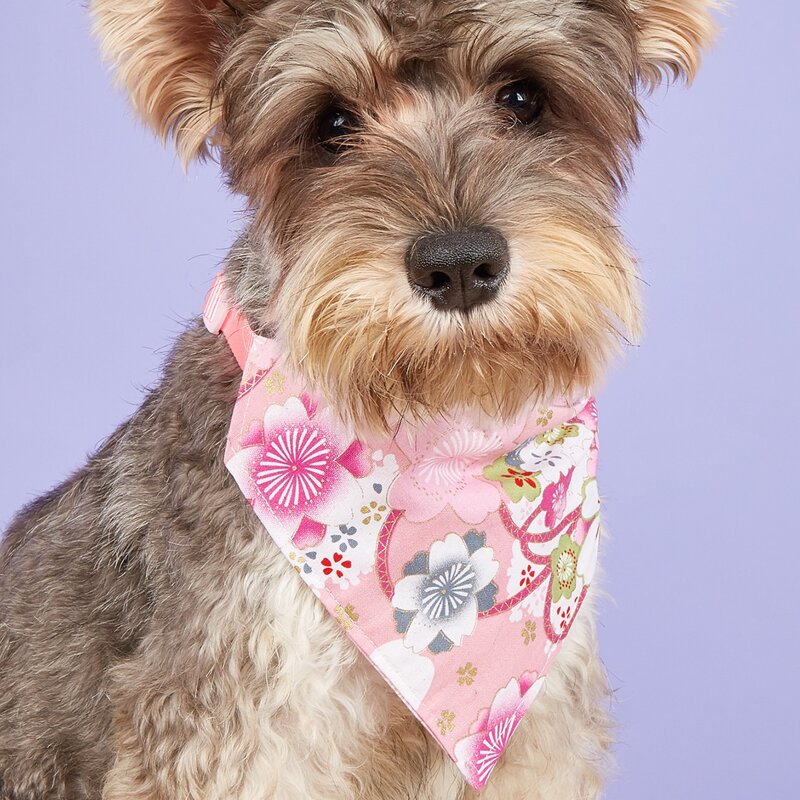 

Flower Print Pet Bandana, Multicolor