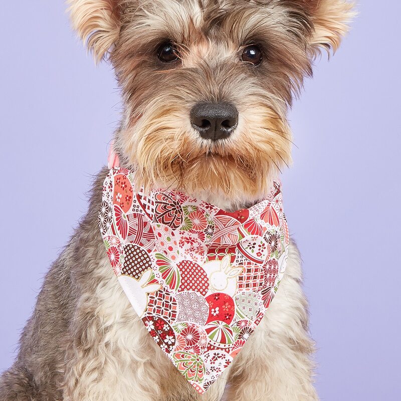 

Flower & Geometric Pattern Pet Bandana, Multicolor