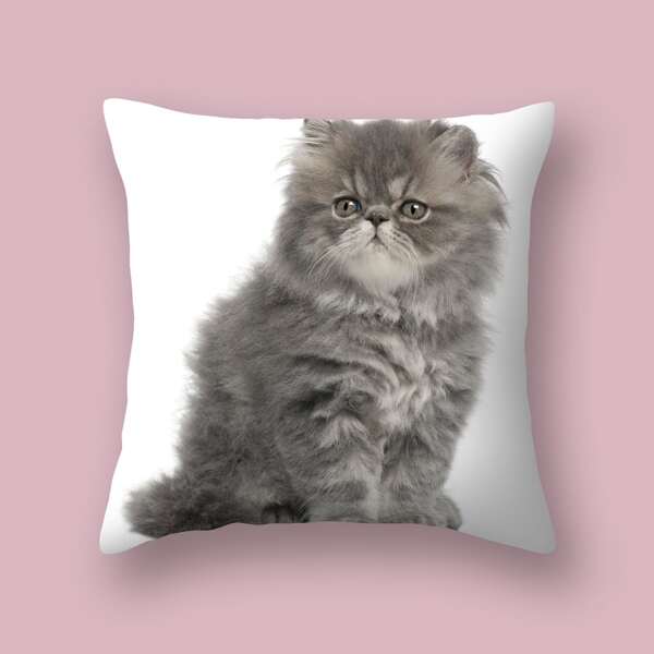 

Cat Print Cushion Cover Without Filler, Multicolor