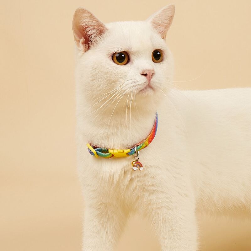 

Rainbow Stripe Pattern Pet Collar, Multicolor