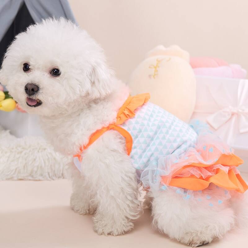 

Geometric Pattern Pet Lace Dress, Orange