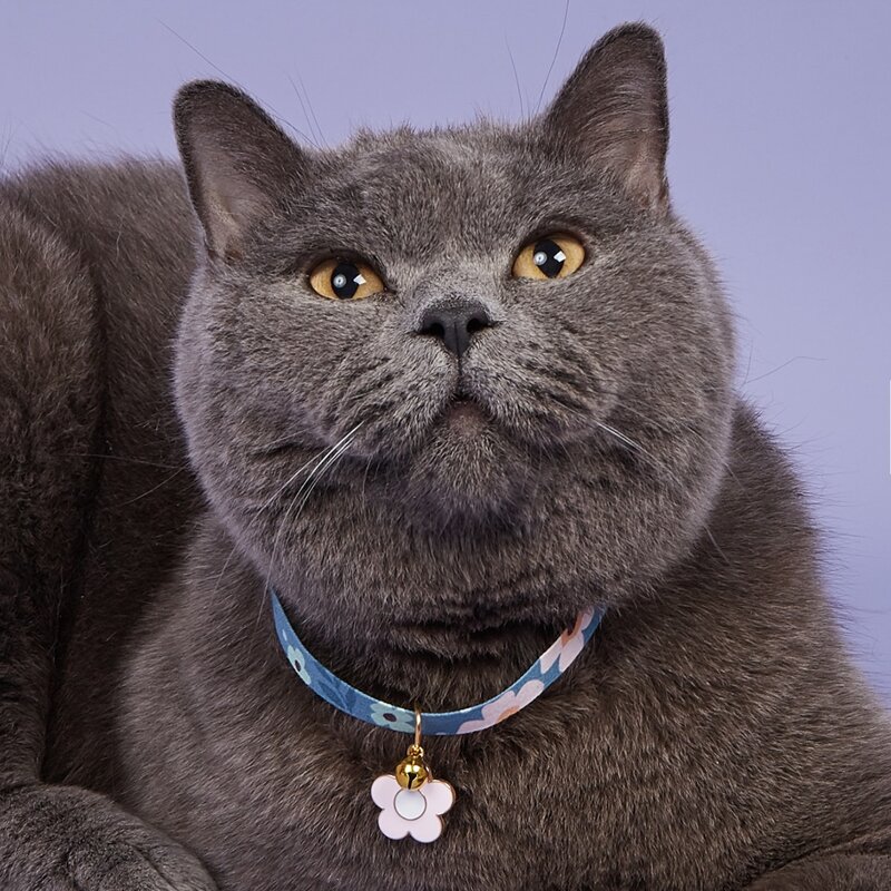 

Flower Pendant Bell Pet Necklace, Blue