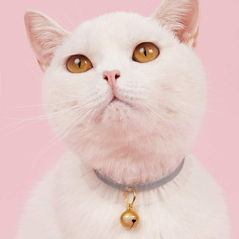 

Bell Pendant Pet Lace Necklace, Grey