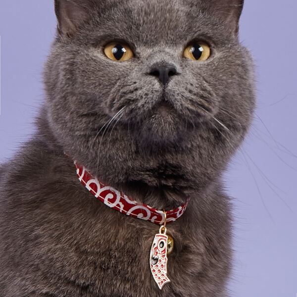 

Fish Pendant Bell Pet Necklace, Red