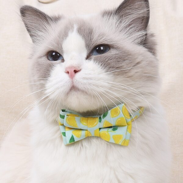 

Lemon Print Pet Bow, Multicolor