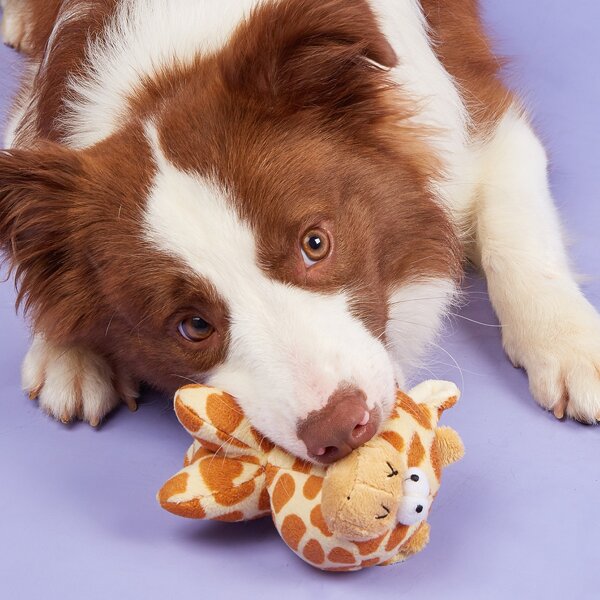 

Animal Shaped Pet Sound Toy, Khaki