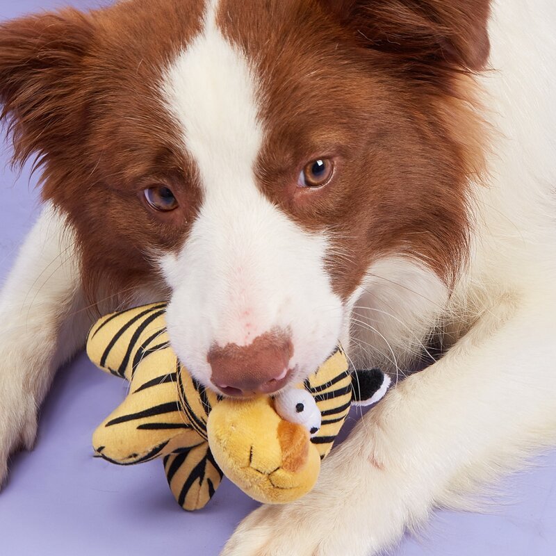 

Animal Shaped Pet Sound Toy, Yellow