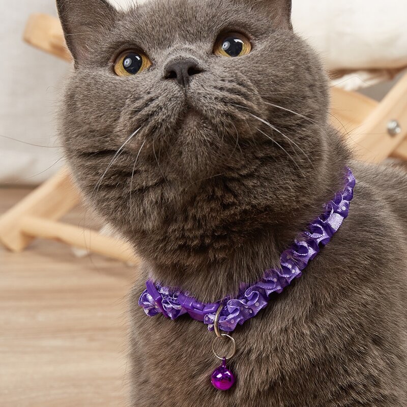 

Bell Decor Pet Collar, Purple
