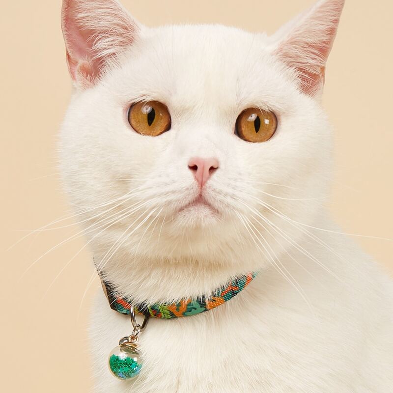 

Graphic Print Pet Collar, Multicolor