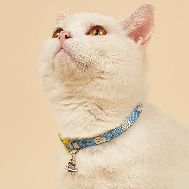 

Cartoon Graphic Pet Collar, Multicolor