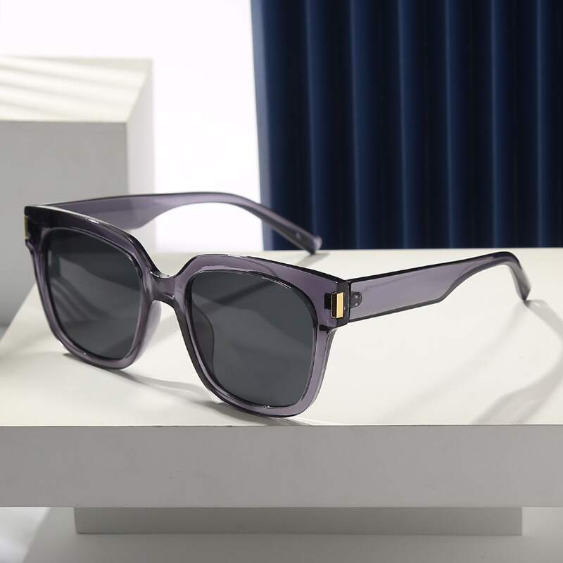 

Acrylic Frame Sunglasses
