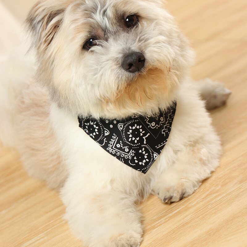 

Flower Print Pet Scarf Collar, Black