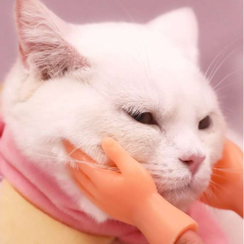 

2pcs Mini Hand Finger Cover Cat Teaser, Yellow