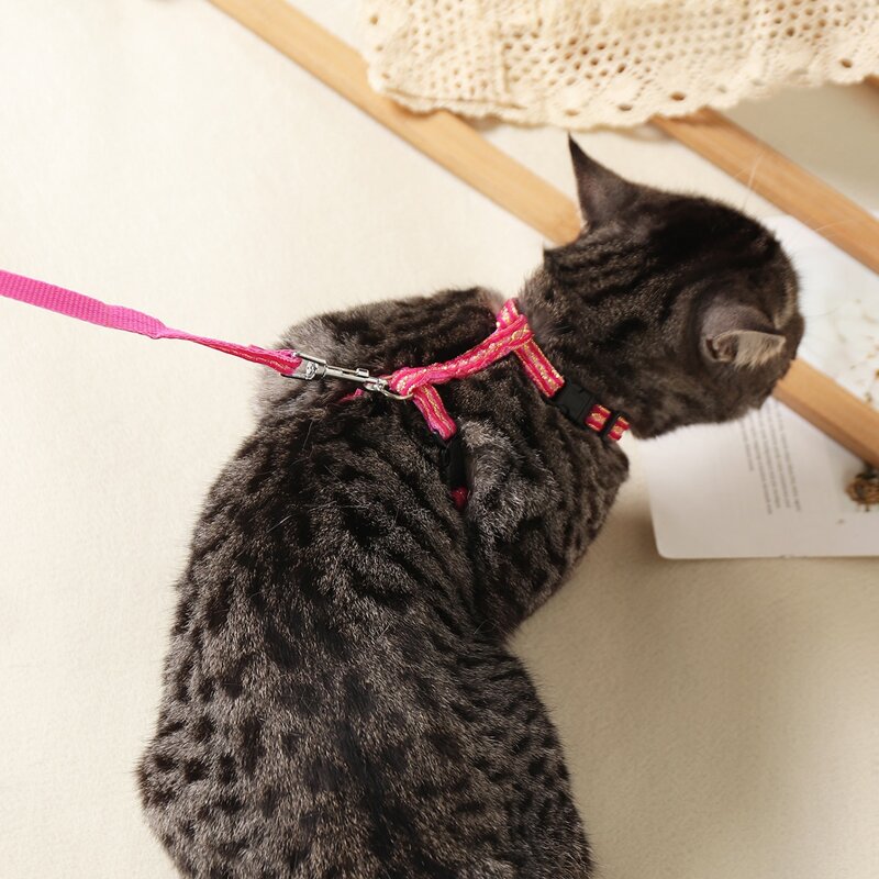 

1pc Geometric Pattern Pet Harness & 1pc Leash, Hot pink