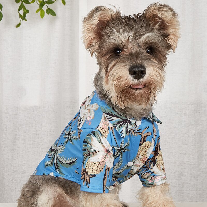 

Tropical Print Pet Shirt, Blue