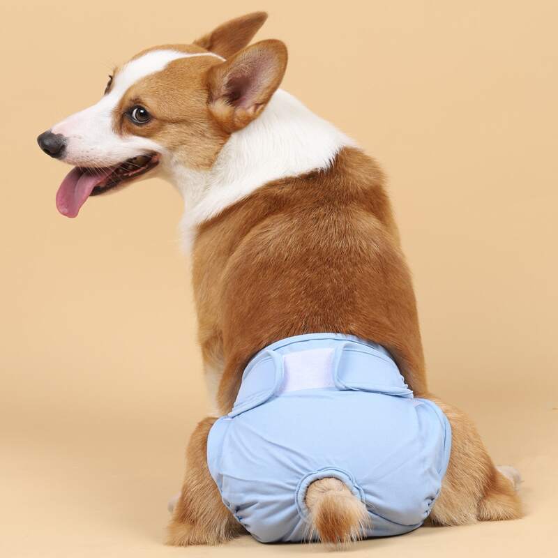 

Solid Color Pet Sanitary Pant, Baby blue