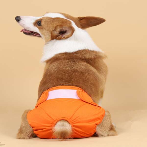 

Solid Color Pet Sanitary Pant, Orange