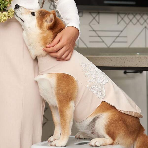 

Flower Embroidery Pet Coat, Apricot