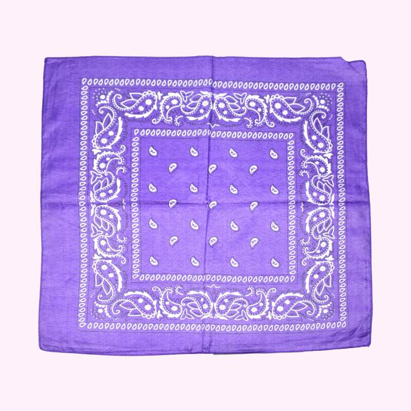 

Paisley Print Scarf, Purple