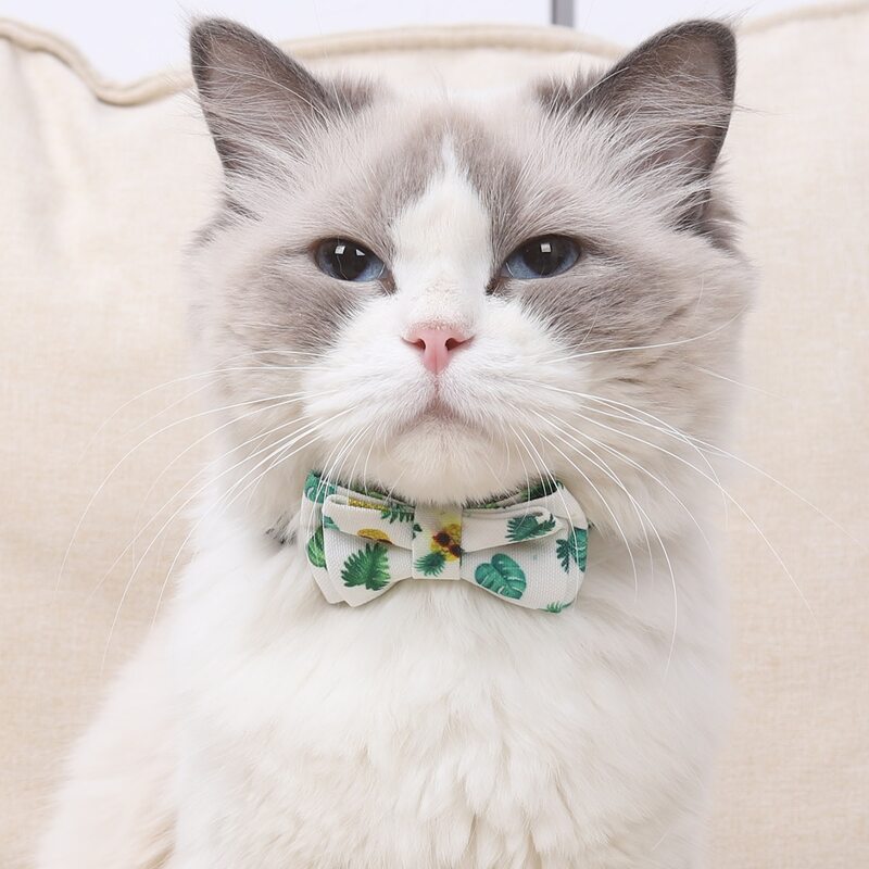 Leaf Print Pet Bow, White