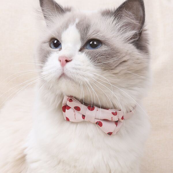 

Tomato Print Pet Bow, Pink