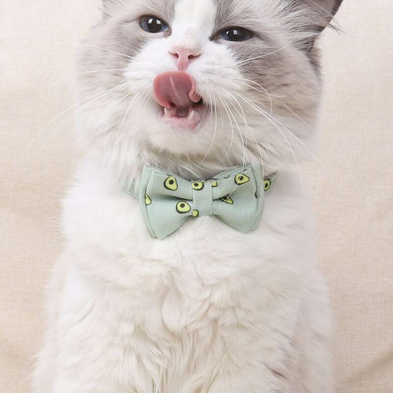

Avocado Print Pet Bow, Green
