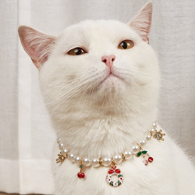 

Faux Pearl Decor Pet Necklace, Multicolor