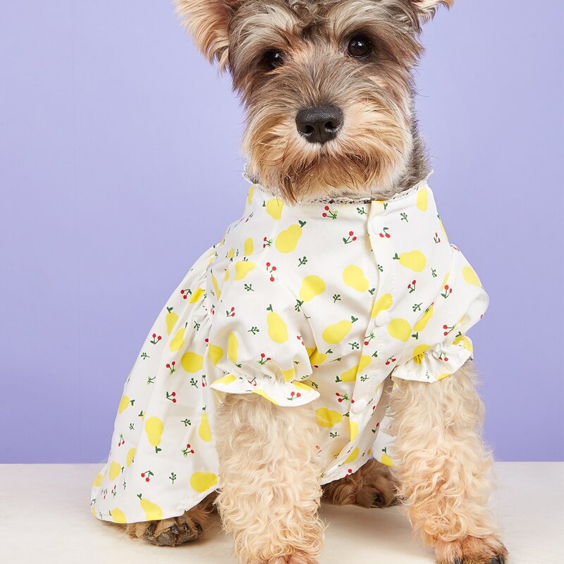 

Pear Print Pet Dress, White