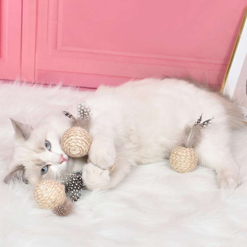 

2pcs Feather Decor Cat Teaser Toy, Multicolor