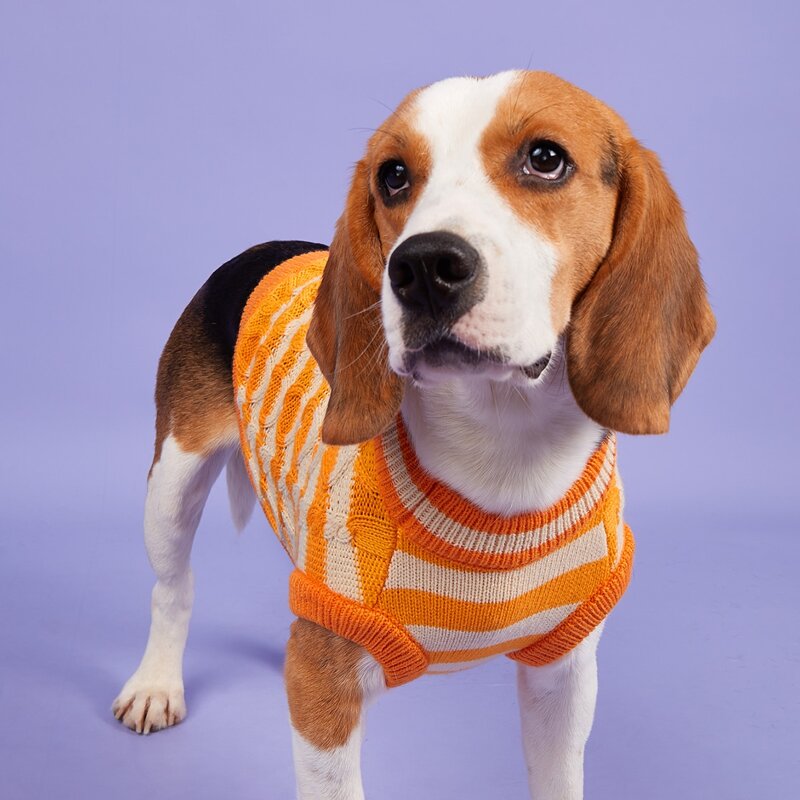 

Striped Pattern Pet Sweater, Orange