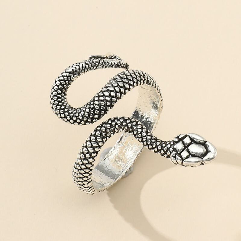 

Snake Design Ring, Antique silver