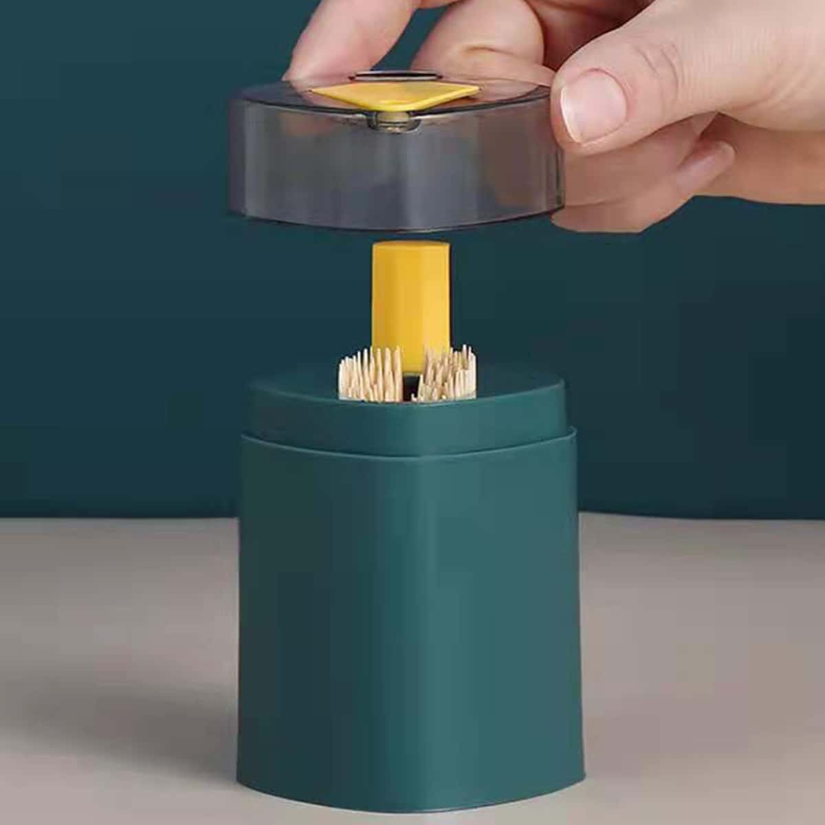 

1pc Toothpick Storage Box, Multicolor