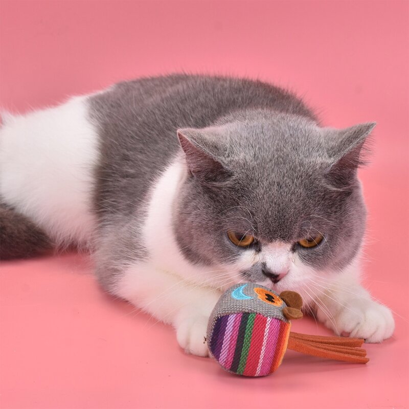 

1pc Cartoon Canvas Cat Teaser Toy, Multicolor