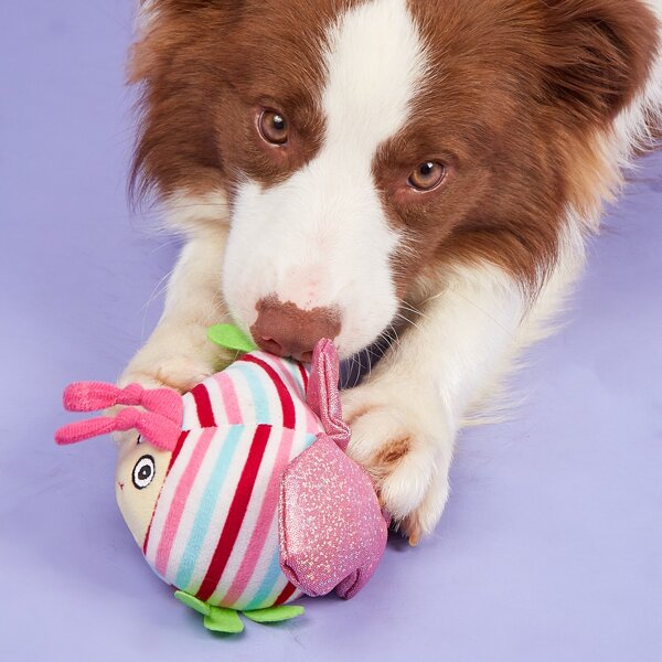 

1pc Butterfly Shaped Pet Sound Toy, Multicolor