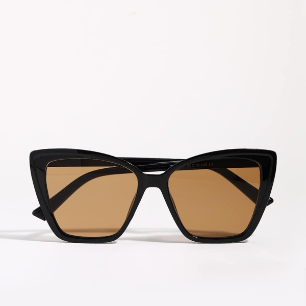 

Tinted Lens Sunglasses