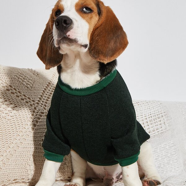 

Paw Print Pet Sweatshirt, Dark green