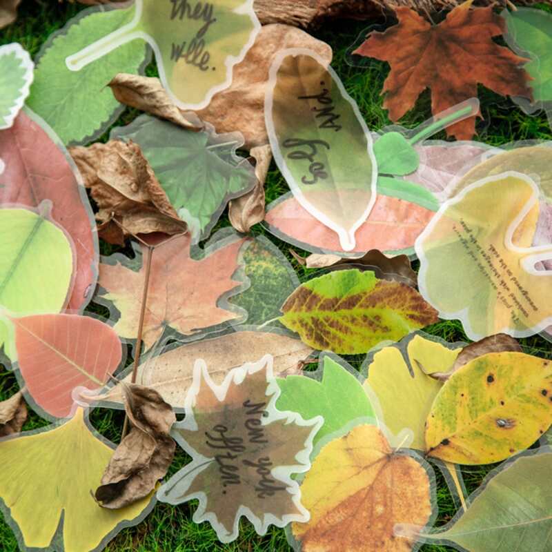 

30pcs Random Leaf Sticker, Multicolor