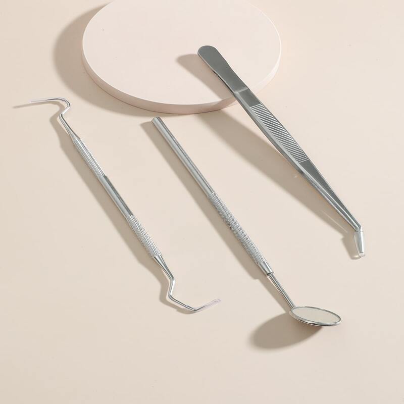 

3pcs Stainless Steel Dental Tool Set, Silver