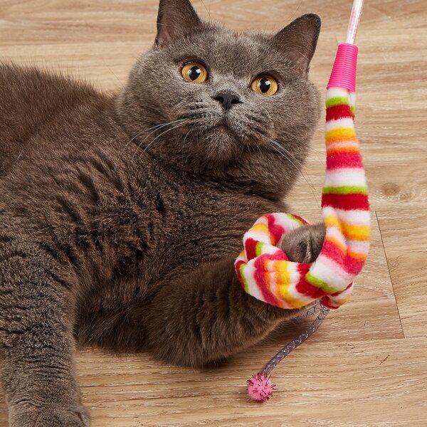 

Striped Pattern Cat Teaser Stick, Multicolor