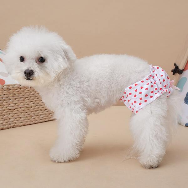 

Heart Print Pet Sanitary Pant, White