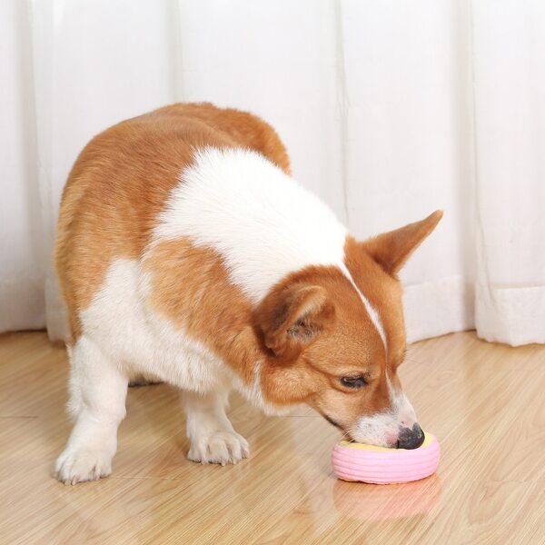 

Donut Design Pet Sound Toy, Multicolor