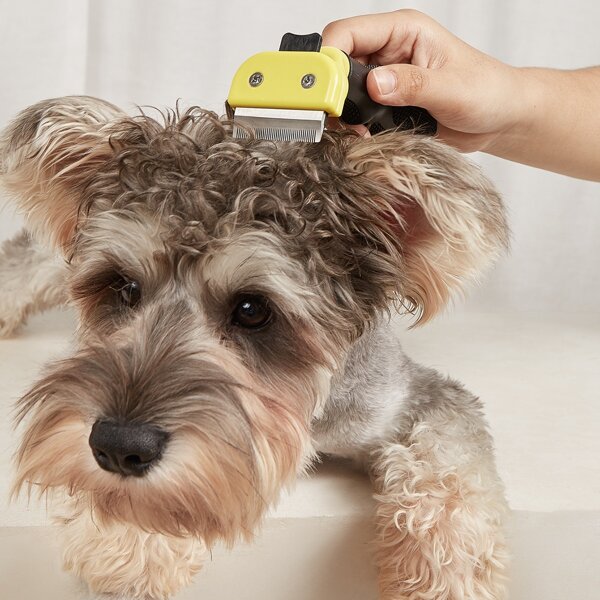 

1pc Pet Hair Removal Brush, Multicolor
