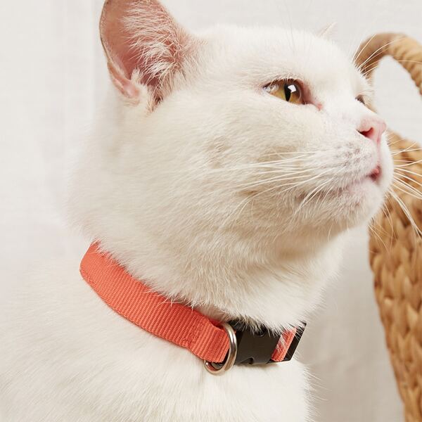 

1pc Plain Pet Collar, Coral orange