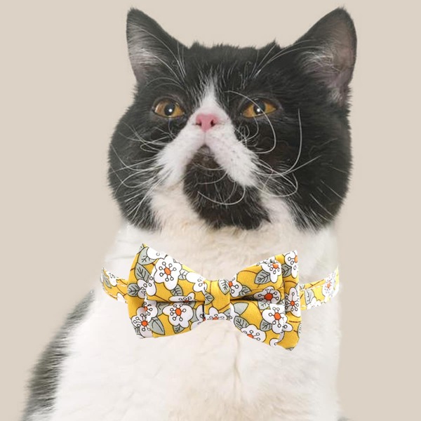 

Flower Print Pet Collar, Yellow