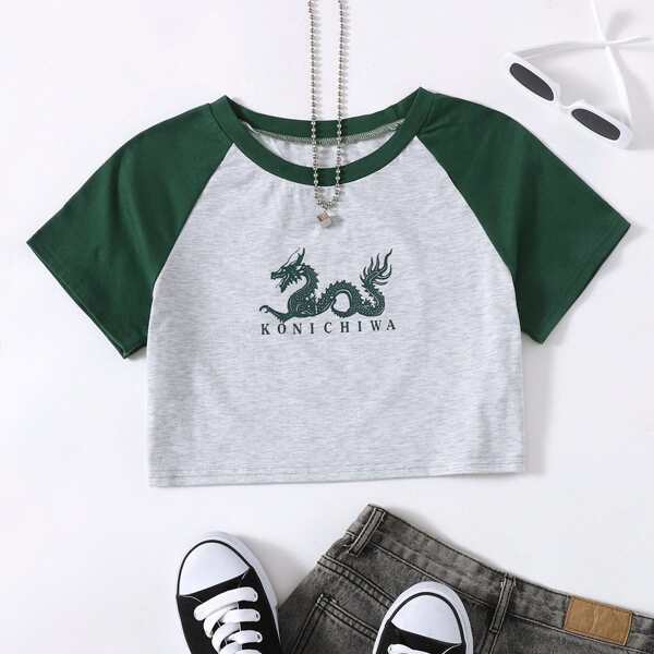 

Plus Colorblock Chinese Dragon Print Tee, Multicolor
