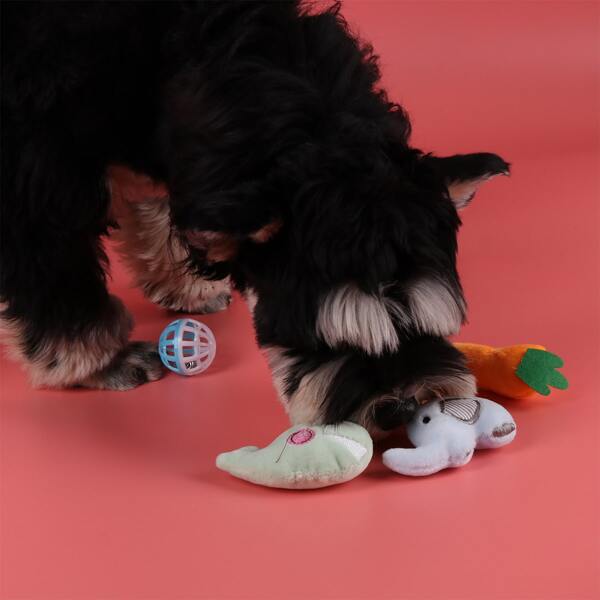 

3pcs Random Pet Toy Set, Multicolor