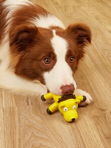 獅子造型寵物髮聲玩具 - 黃色 - 查看 2