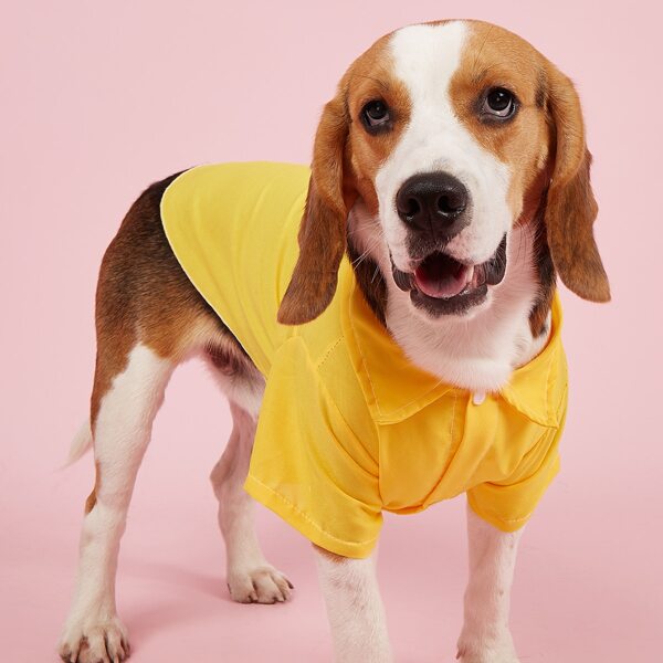 

Solid Color Pet Shirt, Yellow